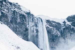 Fra Reykjavík: 7 dage rundt om Islands ringvej og Snæfellsnes