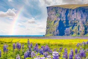 Reikiavik: Ruta en coche de 8 días por el Círculo de Islandia