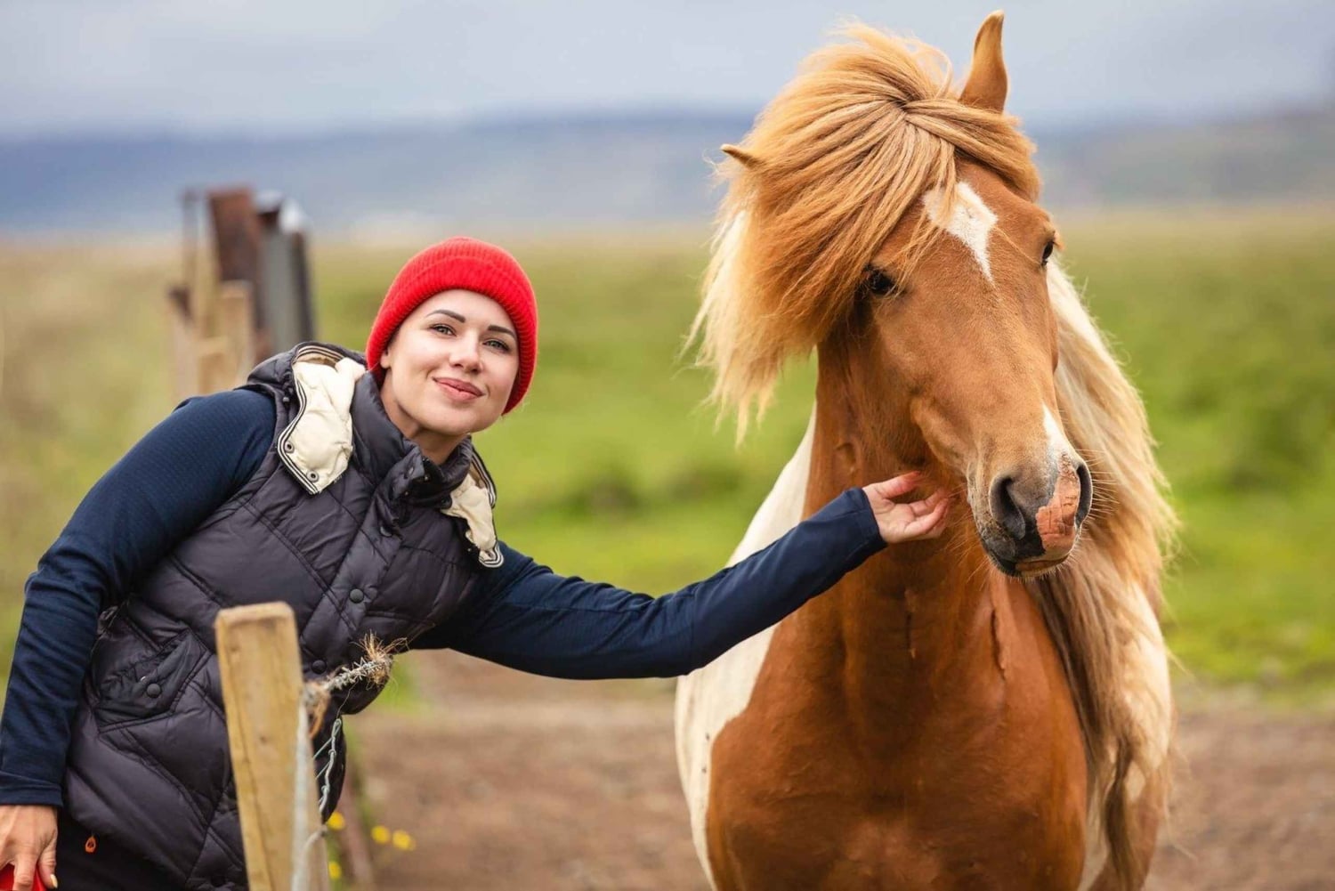 Da Reykjavík: Il meglio dell'Islanda: tour con scalo di 6 giorni