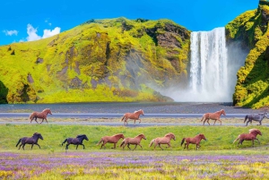 From Reykjavík: Best of Iceland 6-Day Stopover Tour