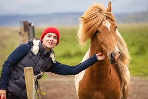 Da Reykjavík: Il meglio dell'Islanda: tour con scalo di 6 giorni