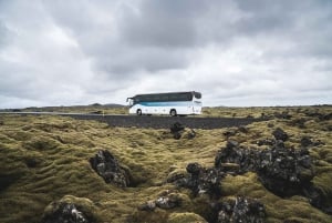 Fra Reykjavik: Innreise til Den blå lagune med transport tur-retur