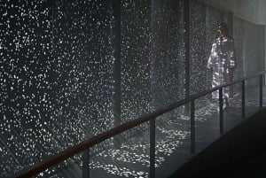 De Reykjavik: Lagoa Azul-Keflavik 2h de espera