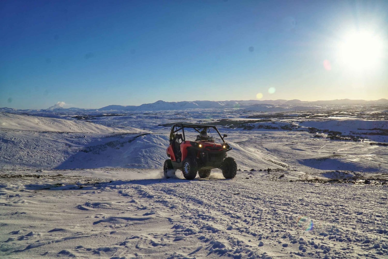 Fra Reykjavik: Buggy- og hvalsafari-eventyr
