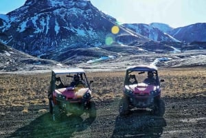 From Reykjavik: Buggy & Whale Watching Adventure