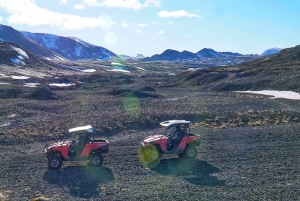 Fra Reykjavik: Buggy- og hvalsafari-eventyr