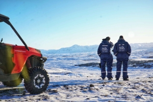 Fra Reykjavik: Buggy- og hvalsafari-eventyr