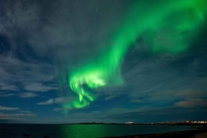 Fra Reykjavik: Juledagstur med nordlys