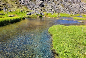 Från Reykjavik: Dagstur till Landmannalaugar i en 4X4