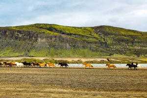 Från Reykjavik: Dagstur till Landmannalaugar i en 4X4