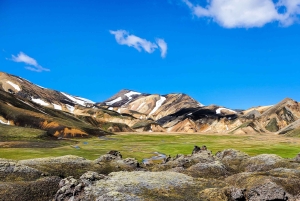 Från Reykjavik: Dagstur till Landmannalaugar i en 4X4