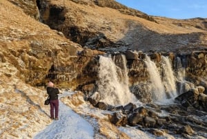 From Reykjavik: Explore the Waterfalls of the South Coast