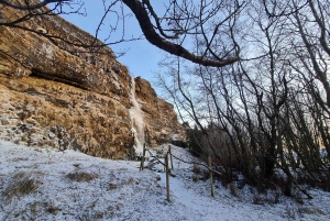 De Reykjavik: explore as cachoeiras da costa sul