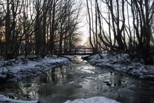 De Reykjavik: explore as cachoeiras da costa sul