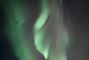 From Reykjavik: Extreme Northern Lights Tour with Dinner