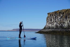 From Reykjavík: Forgotten Fjords Stand Up Paddleboard Tour