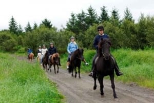 Au départ de Reykjavik : Journée complète d'équitation et visite du Cercle d'or