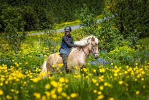 Vanuit Reykjavik: paardrijden en Golden Circle-tour van een hele dag