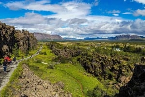 Vanuit Reykjavik: paardrijden en Golden Circle-tour van een hele dag