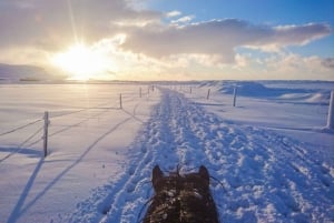 From Reykjavik: Full-Day Horse Riding & Golden Circle Tour