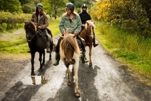 From Reykjavik: Full-Day Horse Riding & Golden Circle Tour