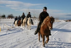 From Reykjavik: Full-Day Horse Riding & Golden Circle Tour
