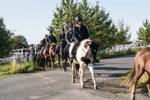 From Reykjavik: Full-Day Horse Riding & Golden Circle Tour