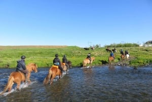 From Reykjavik: Full-Day Horse Riding & Golden Circle Tour
