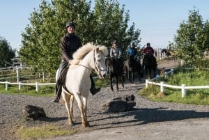 From Reykjavik: Full-Day Horse Riding & Golden Circle Tour