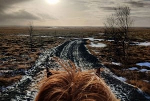 From Reykjavik: Full-Day Horse Riding & Golden Circle Tour