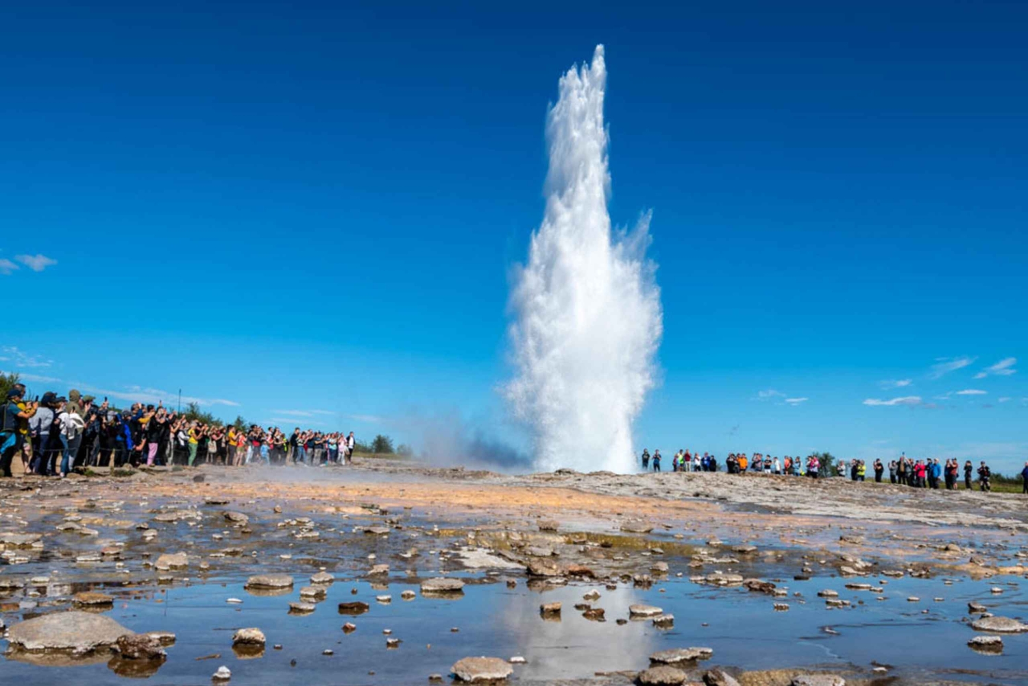 De Reykjavík: passeio de um dia inteiro de observação de baleias e Círculo Dourado