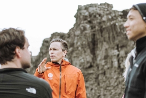 De Reykjavík: passeio de um dia inteiro de observação de baleias e Círculo Dourado
