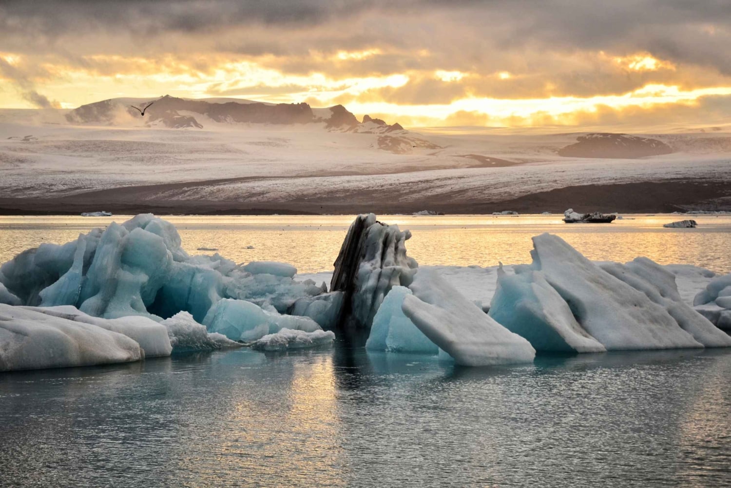 De Reykjavik: Excursão à Lagoa Glaciar e ao Desfiladeiro Fjaðrárgjúfur