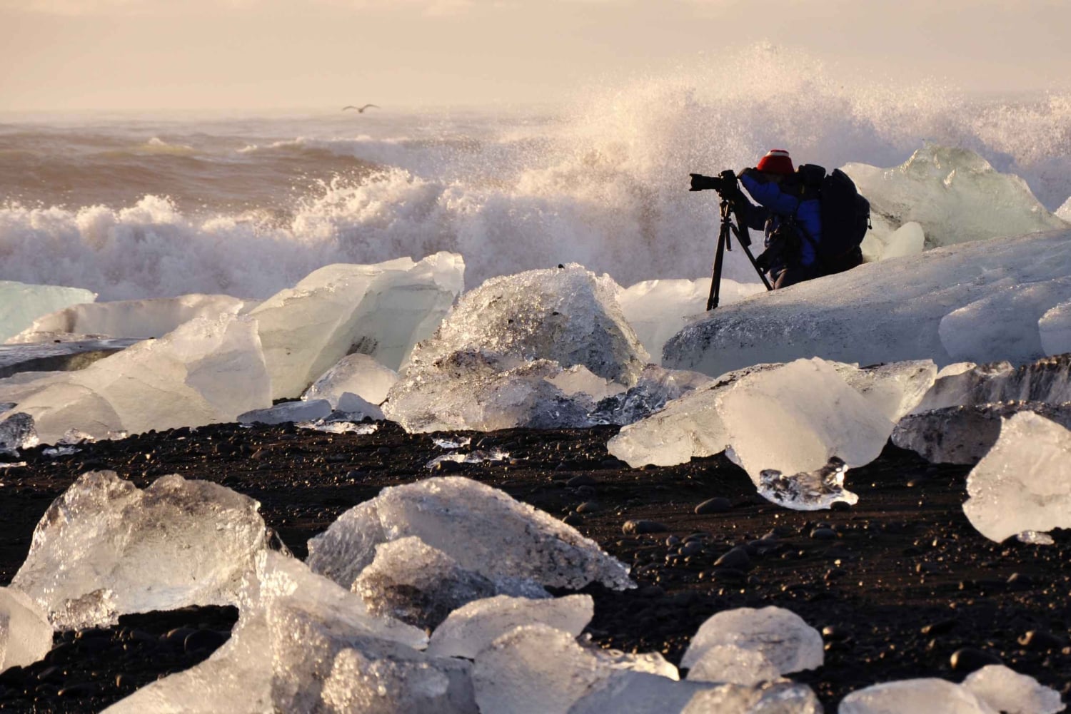 De Reykjavik: Excursão à Lagoa Glaciar e ao Desfiladeiro Fjaðrárgjúfur