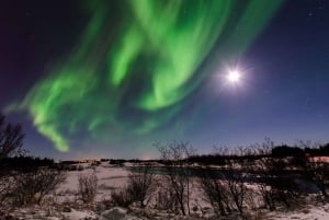 De Reykjavik: Excursão à Lagoa Glaciar e ao Desfiladeiro Fjaðrárgjúfur