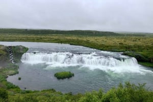 From Reykjavík: Golden Circle and Dairy Farm Visit
