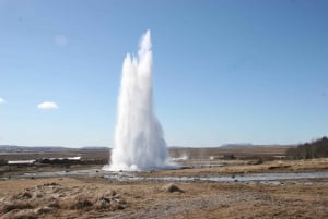 Depuis Reykjavik : Cercle d'or et bains géothermiques de Fontana