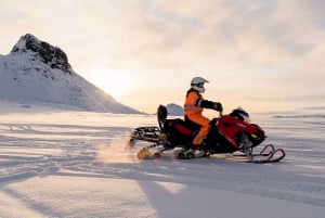 Fra Reykjavik: Den gylne sirkel og snøscootertur