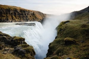 Fra Reykjavik: Den gylne sirkel og snøscootertur