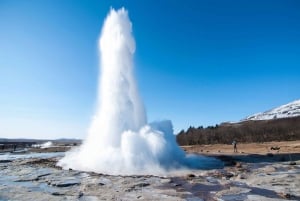 Fra Reykjavik: Den gylne sirkel og snøscootertur