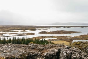 From Reykjavik: Golden Circle & Blue Lagoon Tour with Drink