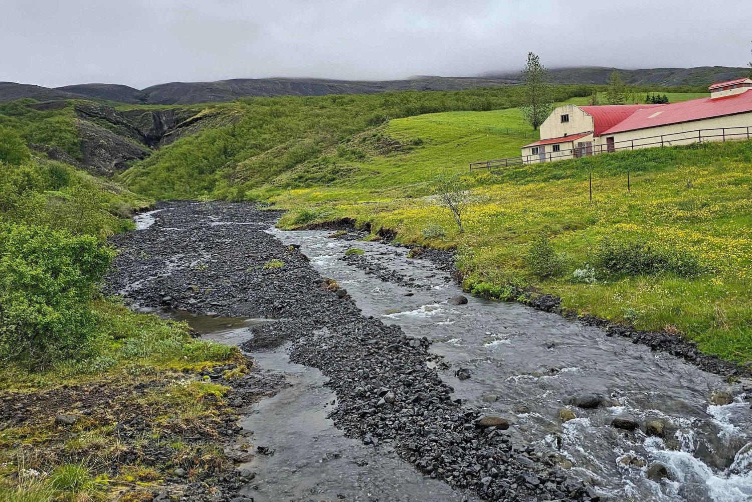 Reykjavikista: Reykjavik: Golden Circle Private Tour