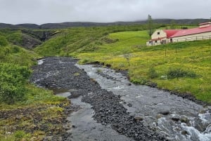 Fra Reykjavik: Golden Circle privat tur