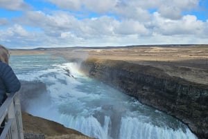 Fra Reykjavik: Golden Circle privat tur