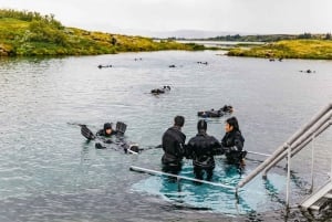 From Reykjavík: Golden Circle Tour and Silfra Snorkeling