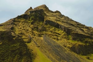 From Reykjavík: Horseback Ride Below the Majestic Mountains