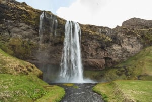 From Reykjavík: Iceland South Coast Small-Group Adventure