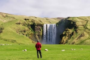 From Reykjavík: Iceland South Coast Small-Group Adventure