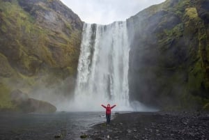 From Reykjavík: Iceland South Coast Small-Group Adventure