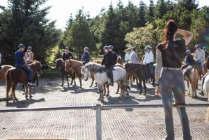 From Reykjavík: Icelandic Horse Riding Tour in Lava Fields